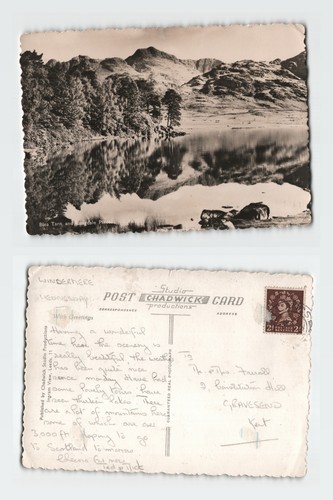 Vintage rppc postcard blea - vintage,
