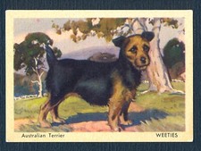 AUSTRALIAN TERRIER 1950'S WEETIES TAILWAGGERS EX LRG DOG TRADE CARD #1