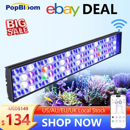 Popbloom h54 reef wifi - h54,