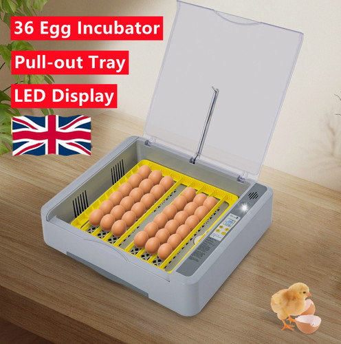 Egg incubator automatic - 36, incubator,