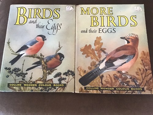 More birds and their eggs - their,