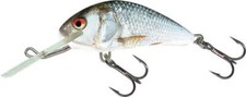 Salmo Hornet Sinking Real Dace