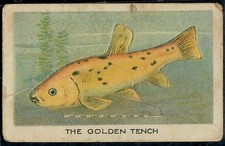 Judaica Palestine RARE Old