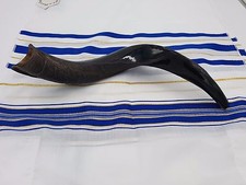 Yemenite Kudu Horn SHOFAR