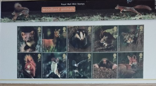 Woodland animals presentation - woodland,