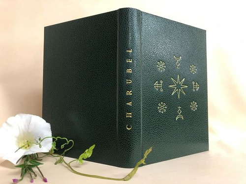 Charubel the healing - the,