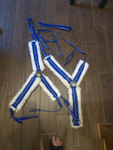 Western horse tack - tack, lot