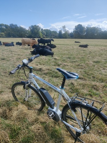 Ktm macina bike - ktm,