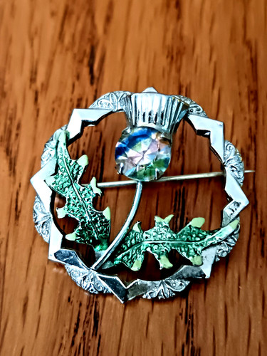 Vintage scottish thistle - vintage,