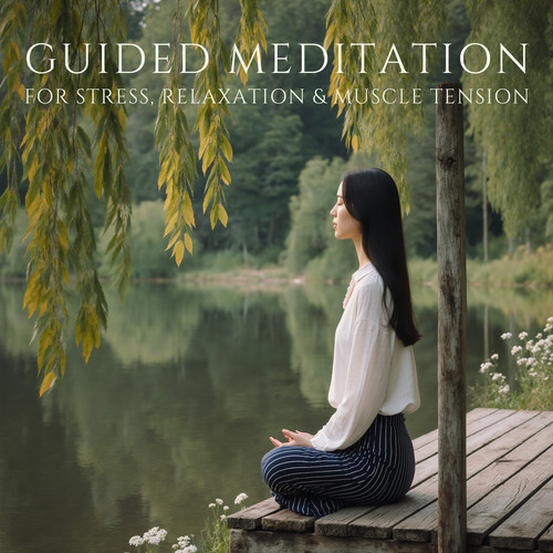 Guided meditation for the - cd,