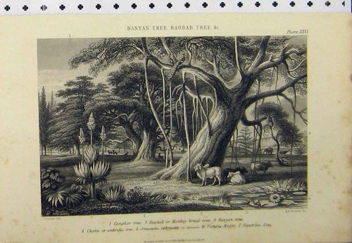 Original old antique print - original,