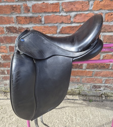 Lavinia mitchell dressage - lavinia,