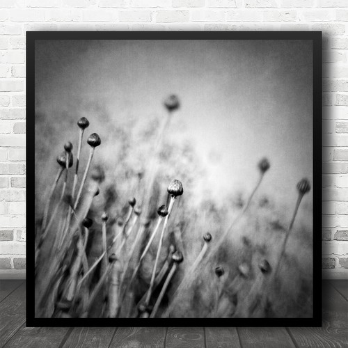 Nature flower lensbaby greece - nature,