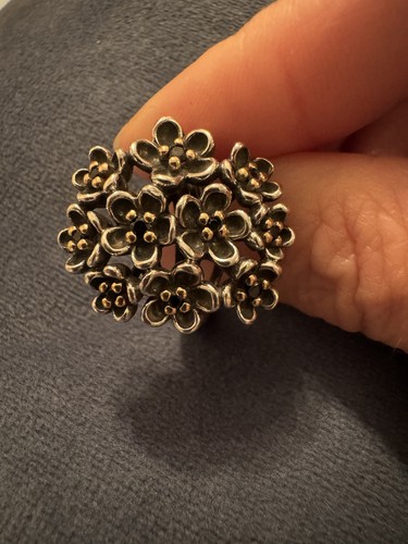 Genuine pandora silver 14k - pandora, &