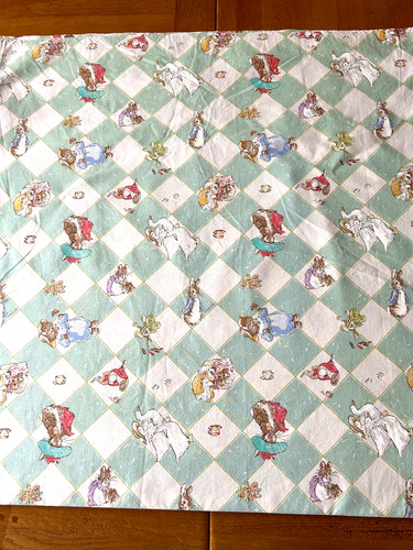 Beatrix potter peter rabbit - peter,
