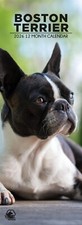 Boston Terrier Dog 2026 Slim