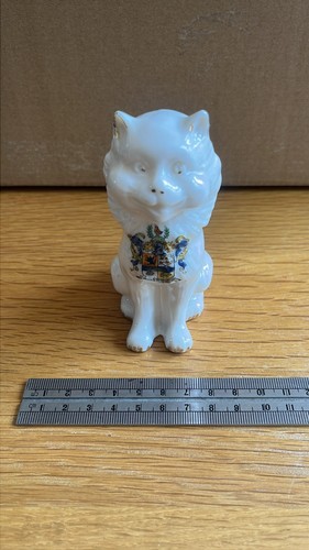 Crested china white cat - white,