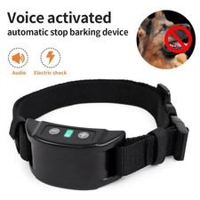 USB Rechargeable Dog Training