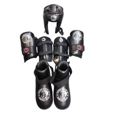 Phoenix Martial Arts Sparring