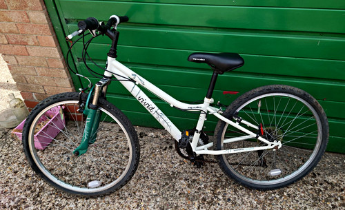Apollo vivid 24in mountain - apollo,