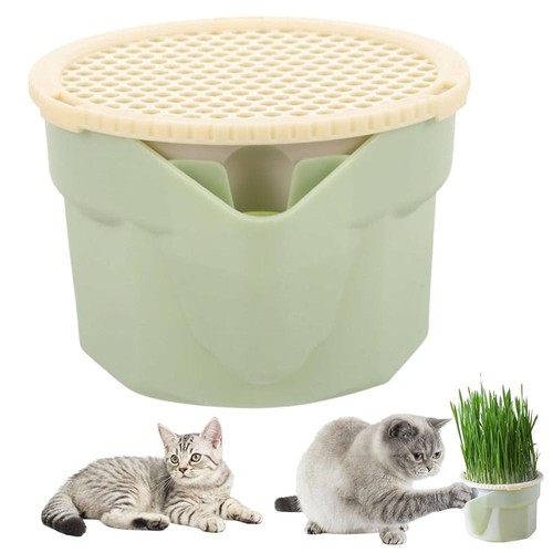 1pc cat grass - 1pc,