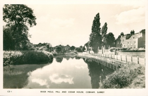 Cobham surrey river mole - surrey, mill