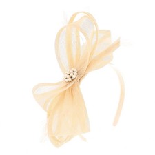 Jewel Sinamay and Feather