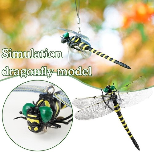 Realistic dragon fly - realistic, clips,
