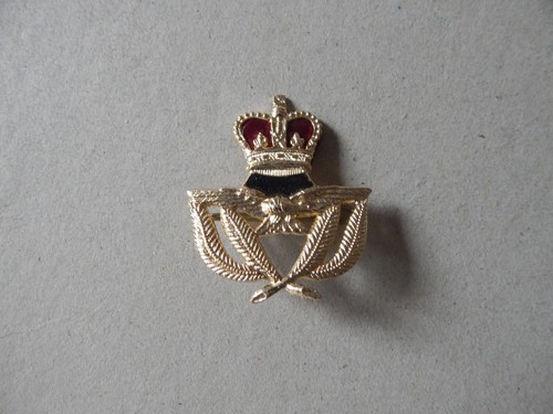 British raf warrant officer - raf,