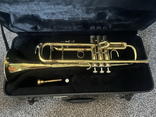 Stagg trumpet brass - stagg, bb