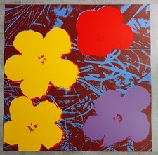 Flowers Poppy Series Sunday