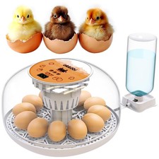Egg Incubator w/ Automatic Turning and Humidity Control, 12/24 Eggs, 360° View