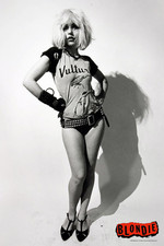 Blondie Vultures Punk Rock