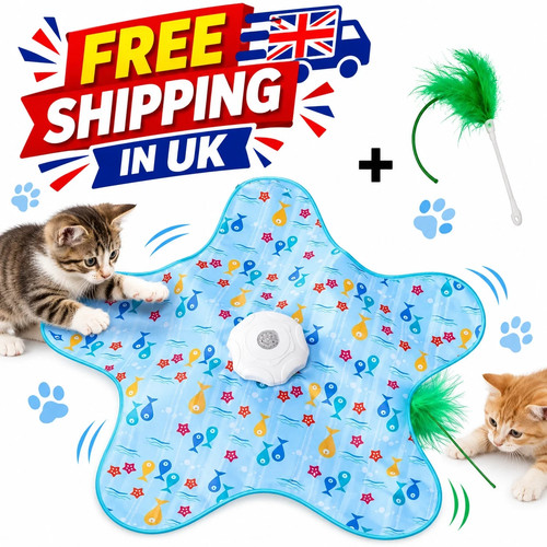 Hide seek interactive cat - hide,