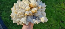 Spirit / Cactus Quartz, with
