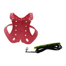Pigeon Harness & Leash Set