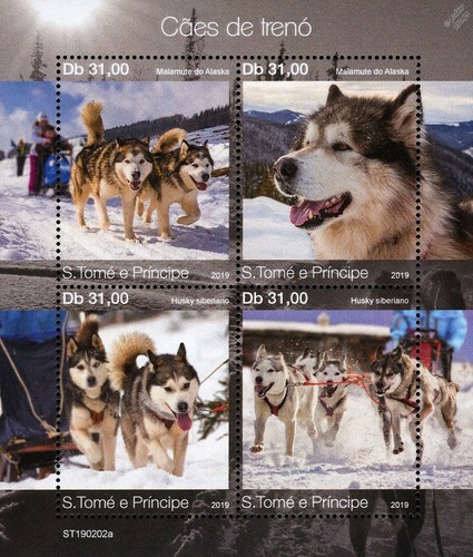 Sled dogs alaskan malamute - sled,