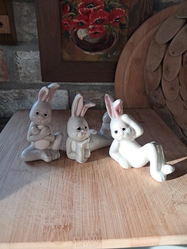 Set lounging bunny - 3,