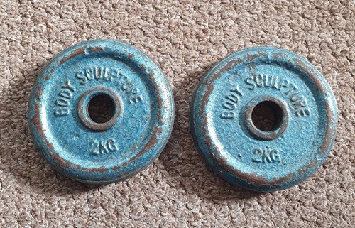 Body sculpture weight plates - body,