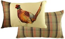 Evans Lichfield Hunter