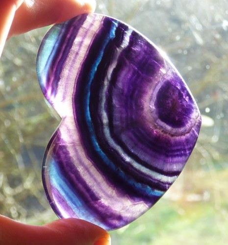 Purple banding rainbow - banding,