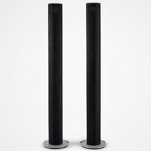 Beolab 6000 wooden - wooden, frets