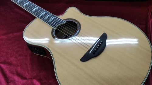 Yamaha apx1000 acoustic - apx1000,