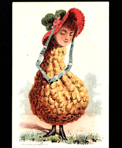 Veggie people squash lady head - people, lady-head