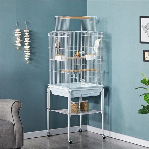 Bird cage open - bird, top