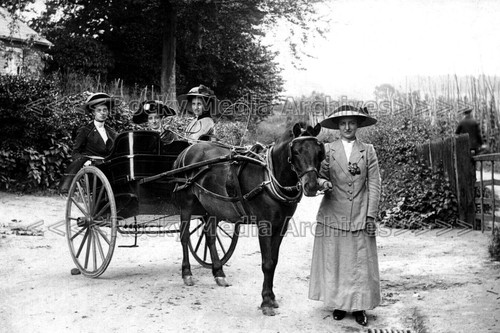 Yuu horse cart hop - &,