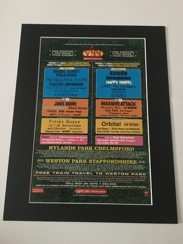 Festival - v,