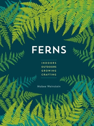 Mobee weinstein ferns indoors - weinstein,