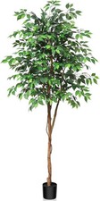 Artificial Ficus Plant FakeTree  1 Pack Kazeila For Auction 210cm