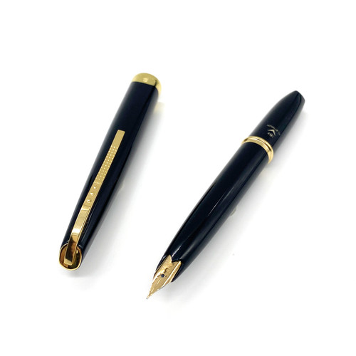 Platinum fountain pen 18k gold - platinum,